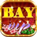 Profile picture of bay vip